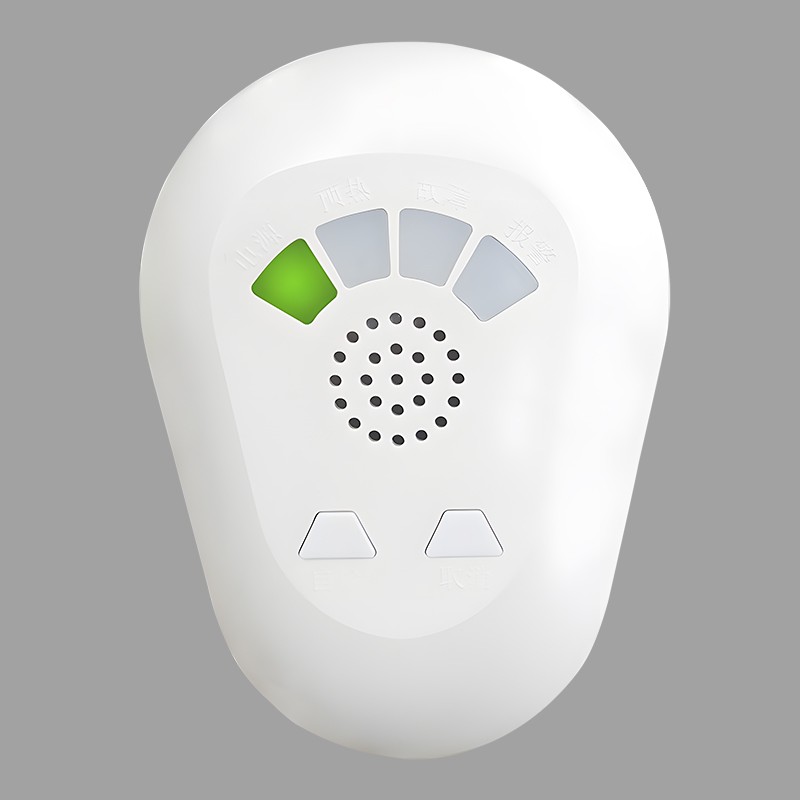 ZJ100 Stand-alone household gas alarm