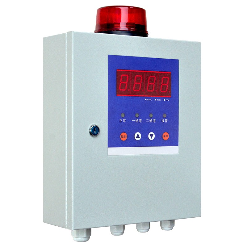 QD6000 2 channel gas alarm controller