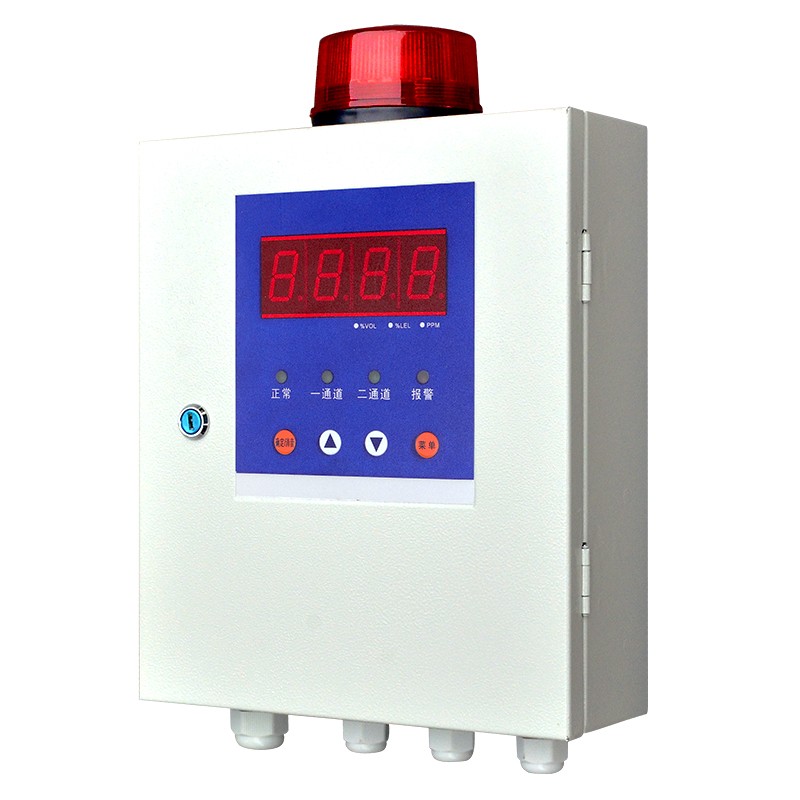 QD6000 2 channel gas alarm controller