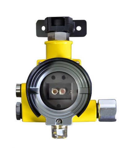 S600-ExIR2 point infrared flame detector (dual wavelength, flameproof type)